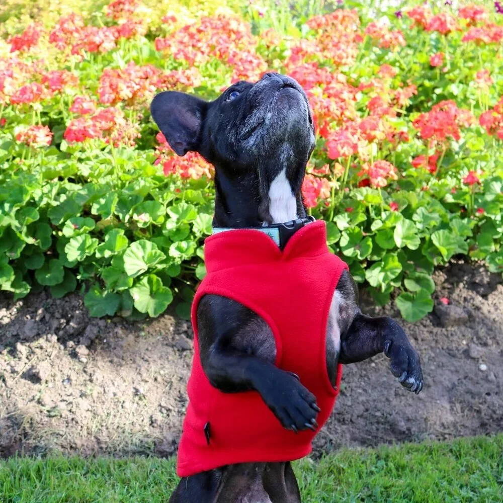 JACKO & CO - Fleece Vest Dog Sweater with Leash Ring